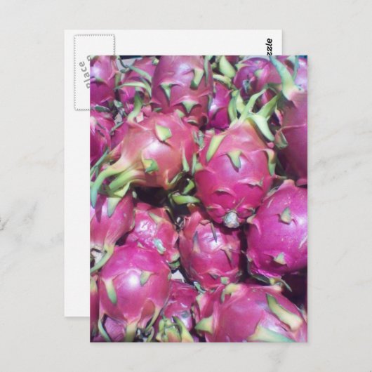 Carte postale Dragonfruit (Devant / Derrière)