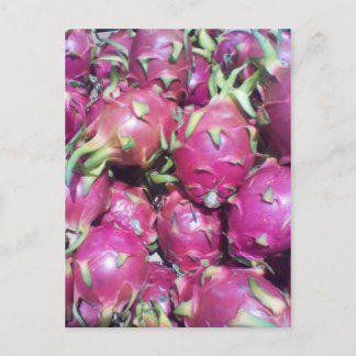 Carte postale Dragonfruit