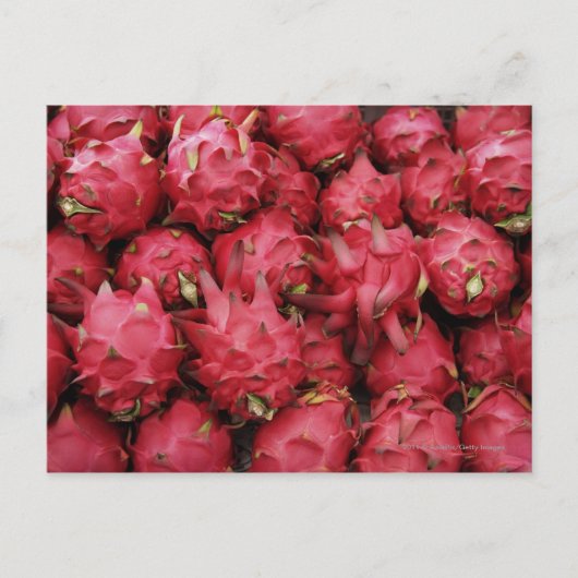 Carte Postale Dragonfruit rose empilé ensemble (Devant)