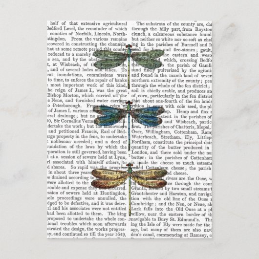 Carte Postale Dragonlies Imprimer 2 (Devant)