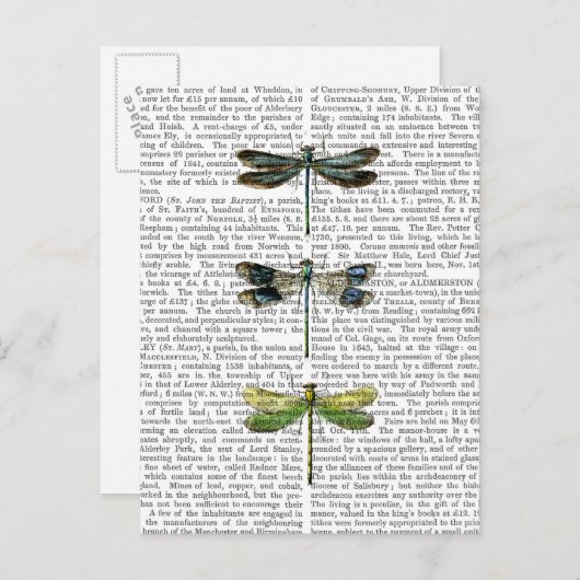 Carte Postale Dragonlies Imprimer 3 (Devant / Derrière)