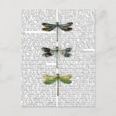 Carte Postale Dragonlies Imprimer 3 (Devant)