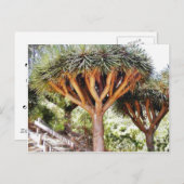 Carte Postale Dragons Sanguins (Devant / Derrière)