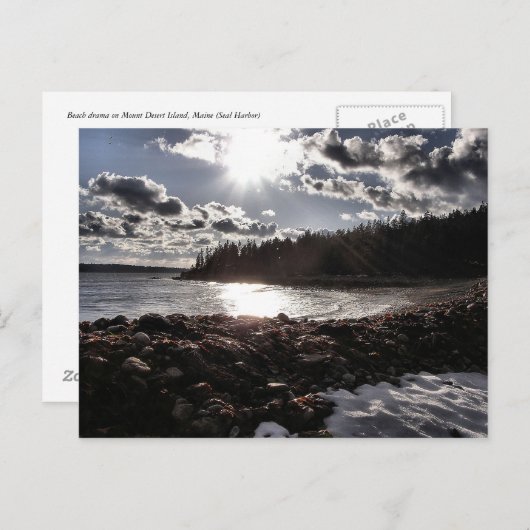 Carte Postale Drame de plage (Devant / Derrière)