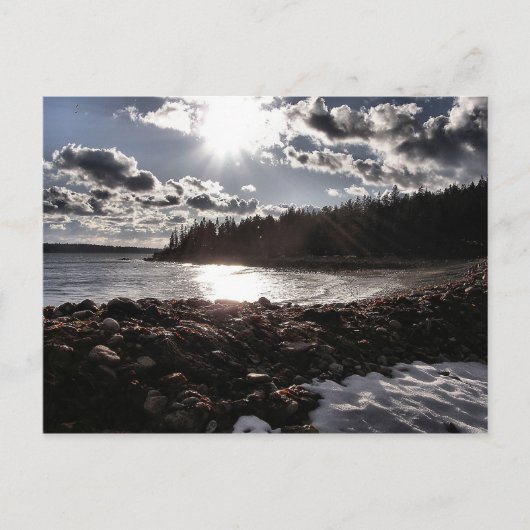 Carte Postale Drame de plage (Devant)