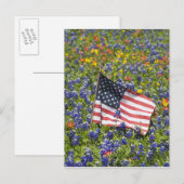 Carte Postale Drapeau américain dans un champ de bleuets bleus, (Devant / Derrière)