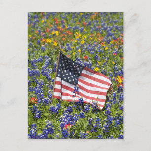 Carte Postale Drapeau américain dans un champ de bleuets bleus,