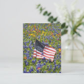Carte Postale Drapeau américain dans un champ de bleuets bleus, (Debout devant)