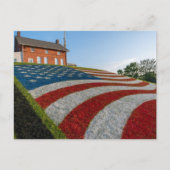 Carte Postale Drapeau Américain sur Gazon (Devant)