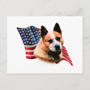Carte Postale Drapeau australien de chien de bétail