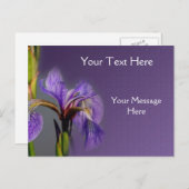 Carte Postale Drapeau bleu Iris Fleur (Devant / Derrière)