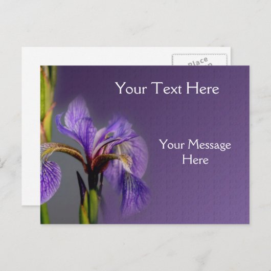 Carte Postale Drapeau bleu Iris Fleur (Devant / Derrière)