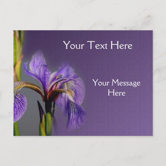 Carte Postale Drapeau bleu Iris Fleur (Devant)