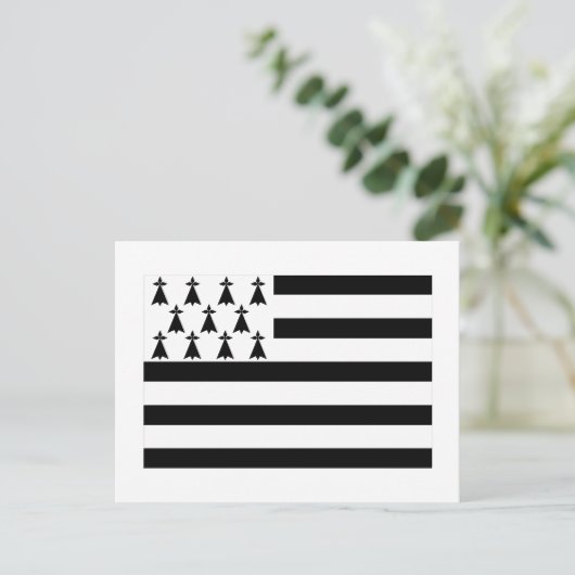 Carte Postale Drapeau breton (Debout devant)