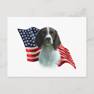 Carte Postale Drapeau breton espagnol