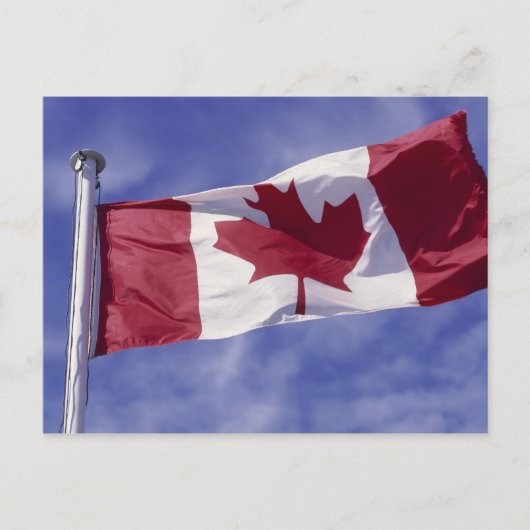 Carte Postale Drapeau canadien (Devant)