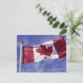 Carte Postale Drapeau canadien (Debout devant)