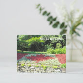 Carte Postale Drapeau canadien des fleurs (Debout devant)