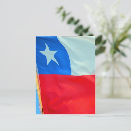 Carte Postale drapeau chilien (Debout devant)