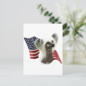 Carte Postale Drapeau chinois arrêté (Debout devant)