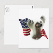 Carte Postale Drapeau chinois arrêté (Devant / Derrière)