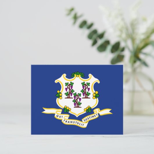 Carte Postale Drapeau Connecticuter, Drapeau Connecticut (Debout devant)