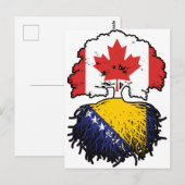 Carte Postale Drapeau de Bosnia Bosnian Canadian Canada (Devant / Derrière)