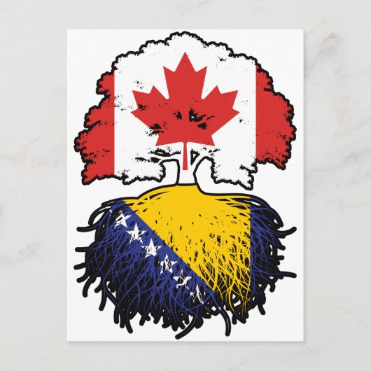 Carte Postale Drapeau de Bosnia Bosnian Canadian Canada (Devant)