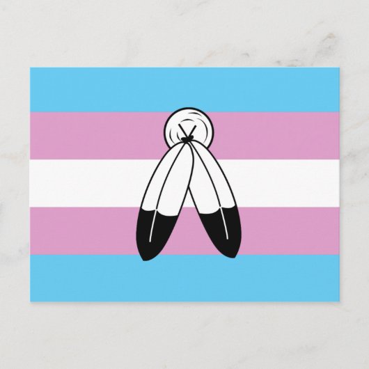 Carte Postale Drapeau de fierté trans bispirituel (Devant)