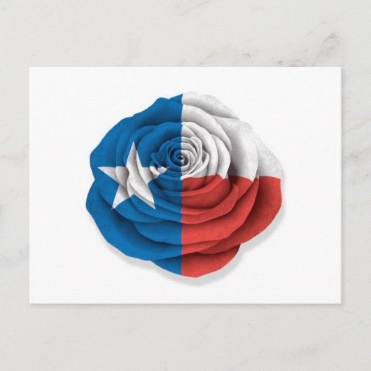 Carte Postale Drapeau de la rose du Texas sur fond blanc (Devant)