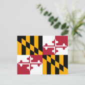 Carte Postale Drapeau de l'État du Maryland (Debout devant)