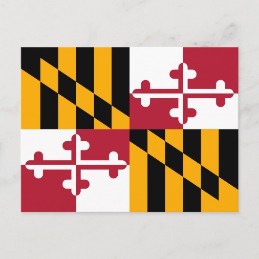 Carte Postale Drapeau de l'État du Maryland (Devant)