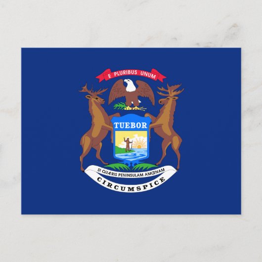Carte Postale Drapeau de l'État du Michigan (Devant)