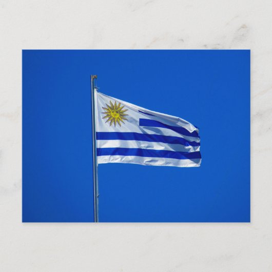 Carte Postale drapeau de l'uruguay (Devant)