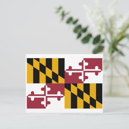Carte Postale Drapeau de Maryland (Debout devant)