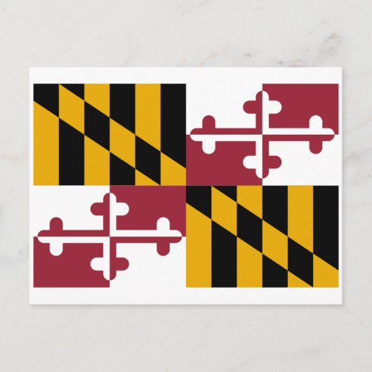 Carte Postale Drapeau de Maryland (Devant)