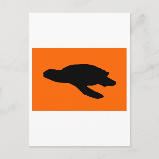 Carte Postale Drapeau de nidification de la tortue de mer (Devant)