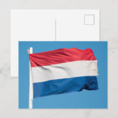 Carte Postale Drapeau de Pays-Bas (Devant / Derrière)