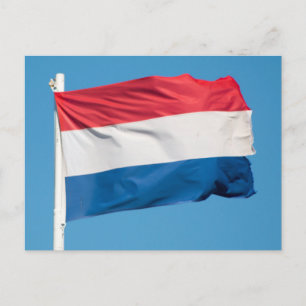 Carte Postale Drapeau de Pays-Bas