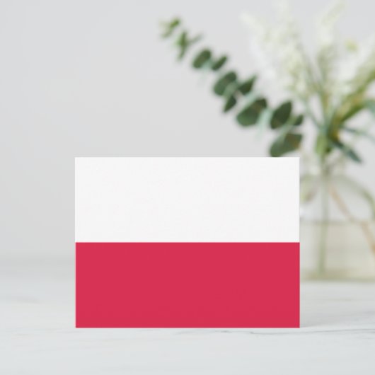 Carte Postale Drapeau de Pologne (Debout devant)