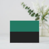 Carte Postale Drapeau de Texel (Debout devant)