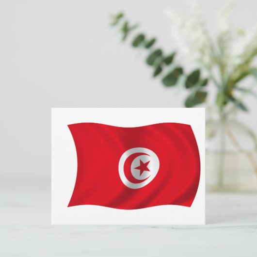 Carte Postale Drapeau de Tunisie (Debout devant)