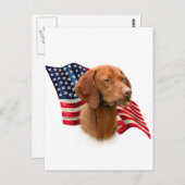 Carte Postale Drapeau de Vizsla (Devant / Derrière)