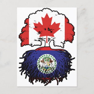 Carte Postale Drapeau des racines d'arbre du Canada bélizien can