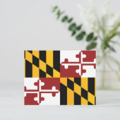 Carte Postale Drapeau d'État du Maryland (États-Unis) (Debout devant)