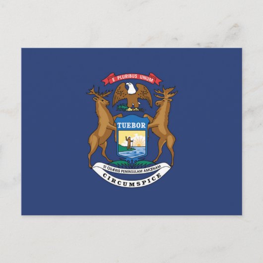 Carte Postale Drapeau d'État du Michigan, États-Unis (Devant)