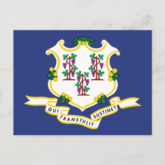 Carte Postale Drapeau du Connecticut Souvenir État de la noix de (Devant)