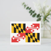 Carte Postale Drapeau du Maryland (Debout devant)