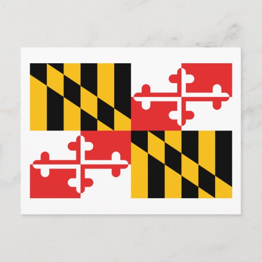 Carte Postale Drapeau du Maryland (Devant)