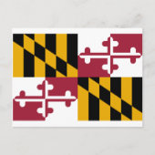 Carte Postale Drapeau du Maryland (Devant)
